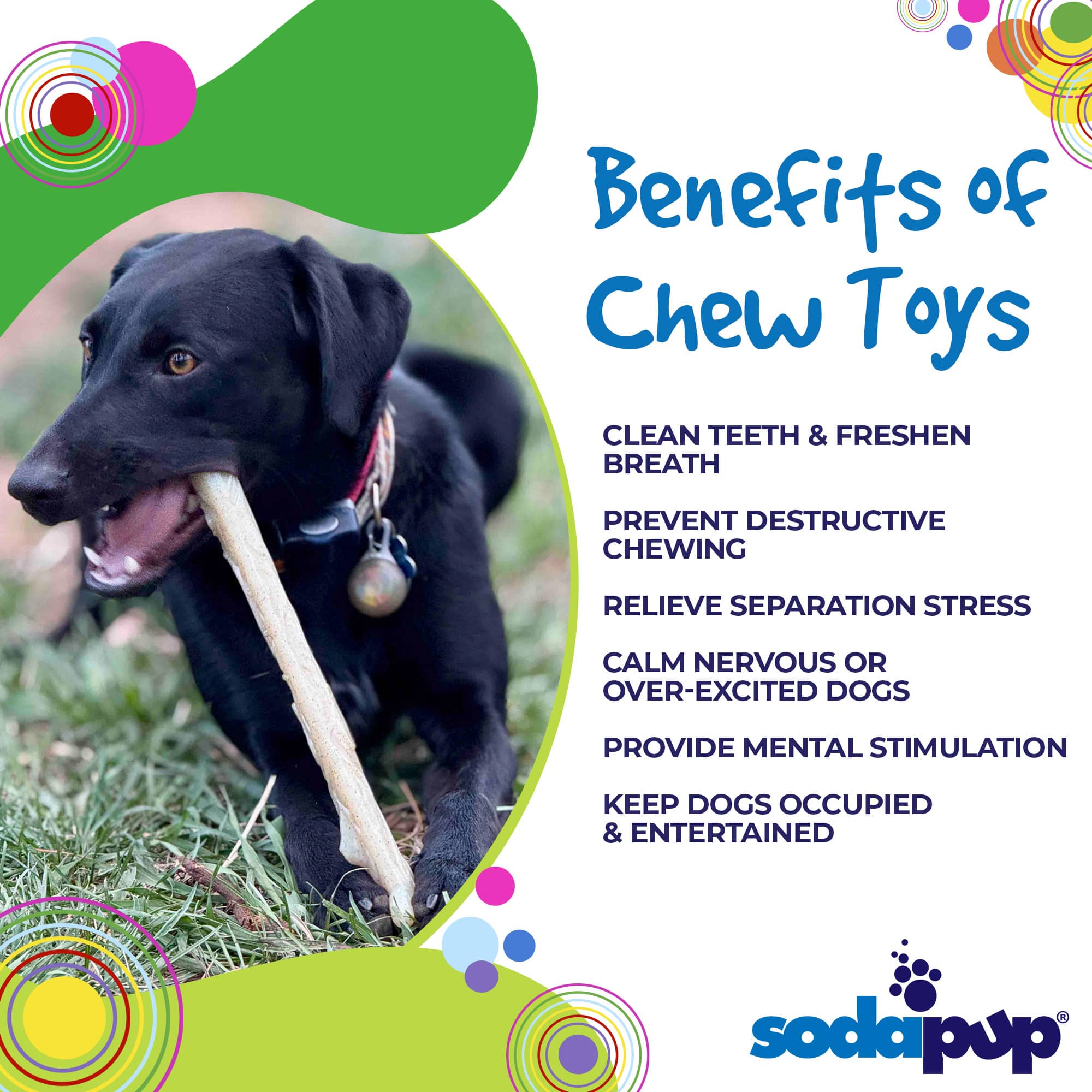 Durable Nylon Chew Stick for Power Chewers | Indestructible Dog Toy USA