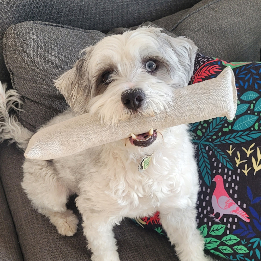 Boba & Vespa Cat Kicker Toy for Bunny Kicks