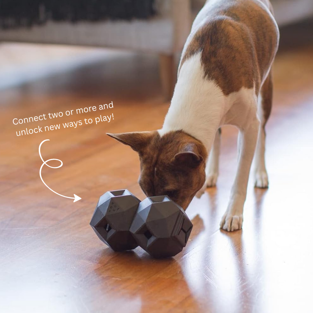 The Odin Treat Dispensing Toy For Dogs