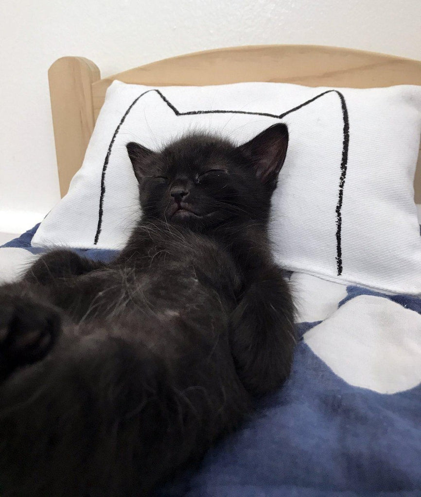 Cat Kicker Bed Pillow Catnip Kicker Toy